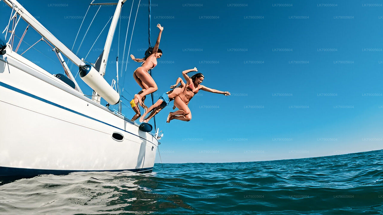 Private Sailing Experience from Colombo