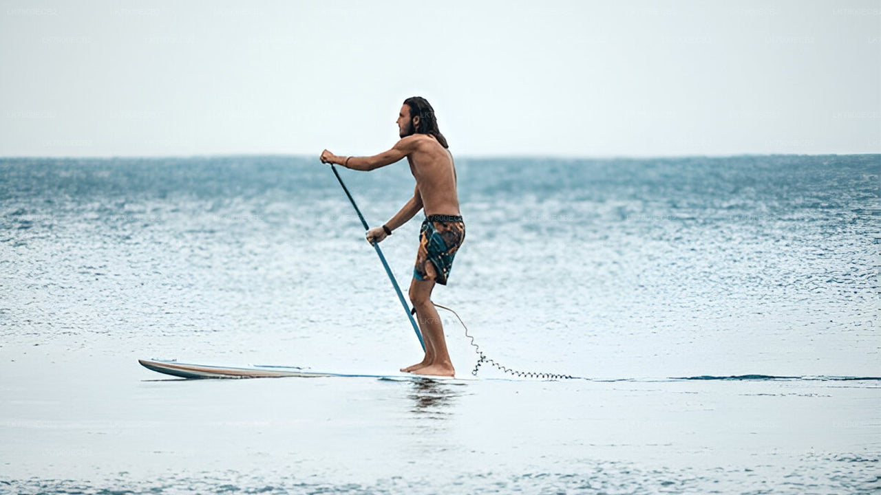 Dvoudenní plavba z Mirissy na lodi Ocean Diamond