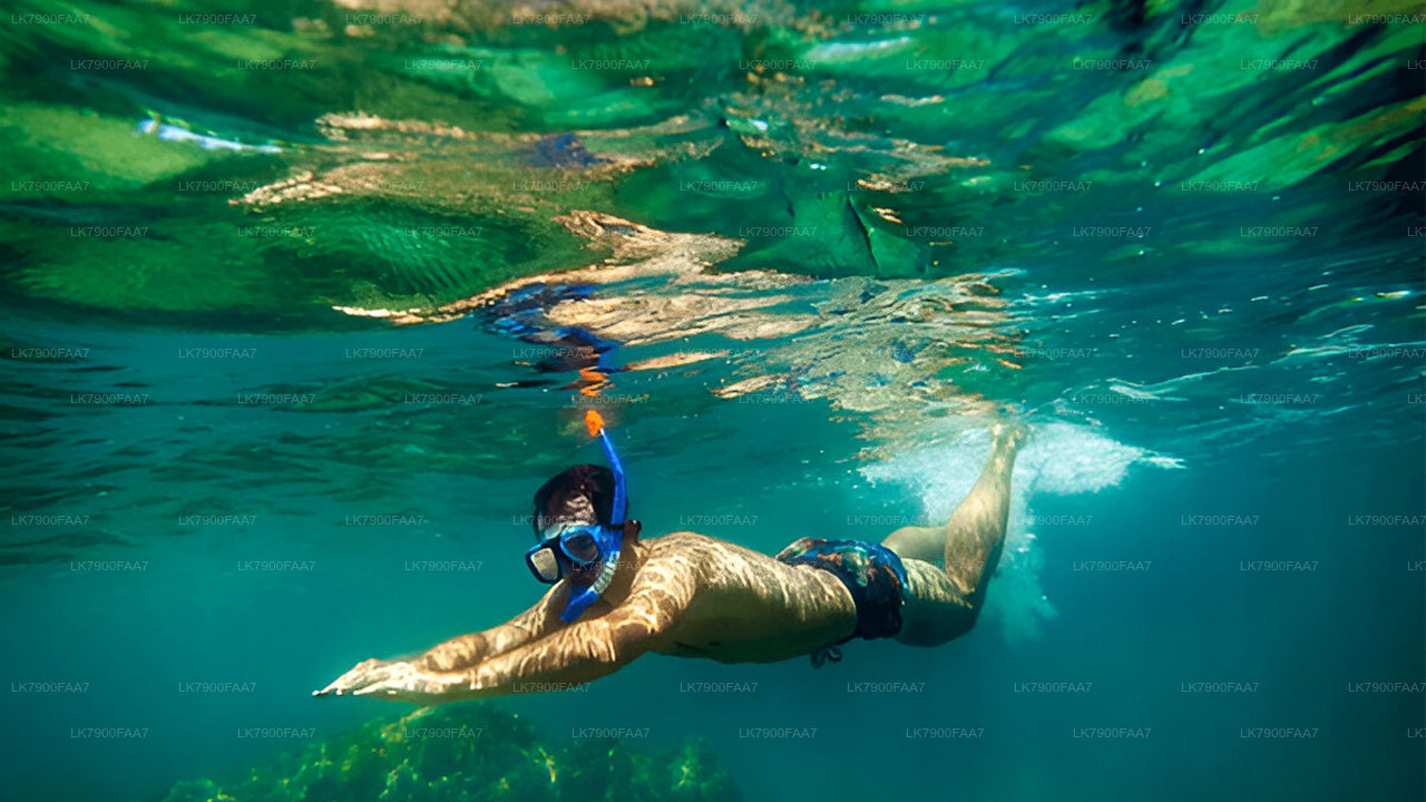 3hodinová plavba při západu slunce z Mirissy