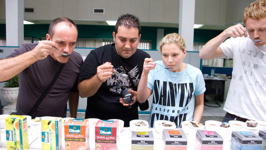 Ochutnávka cejlonského čaje z Colomba