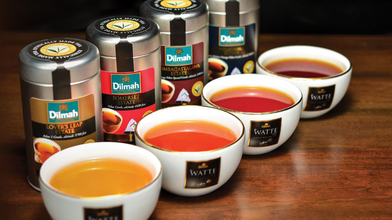 Ochutnávka cejlonského čaje z Colomba