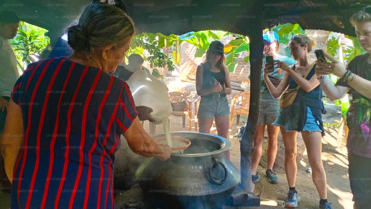 Zkušenosti se zpracováním tvarohu z Tissamaharamy