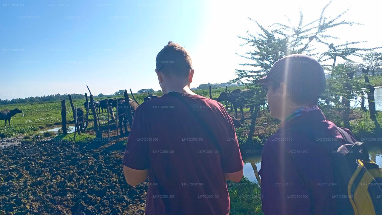 Zkušenosti se zpracováním tvarohu z Tissamaharamy