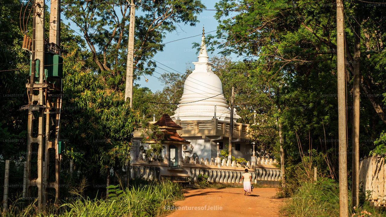 Hingula Village Safari and Honey Museum