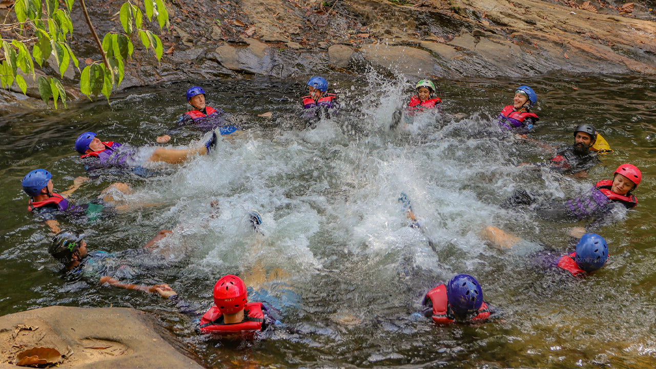 Marvel Canyoning Adventure from Kitulgala