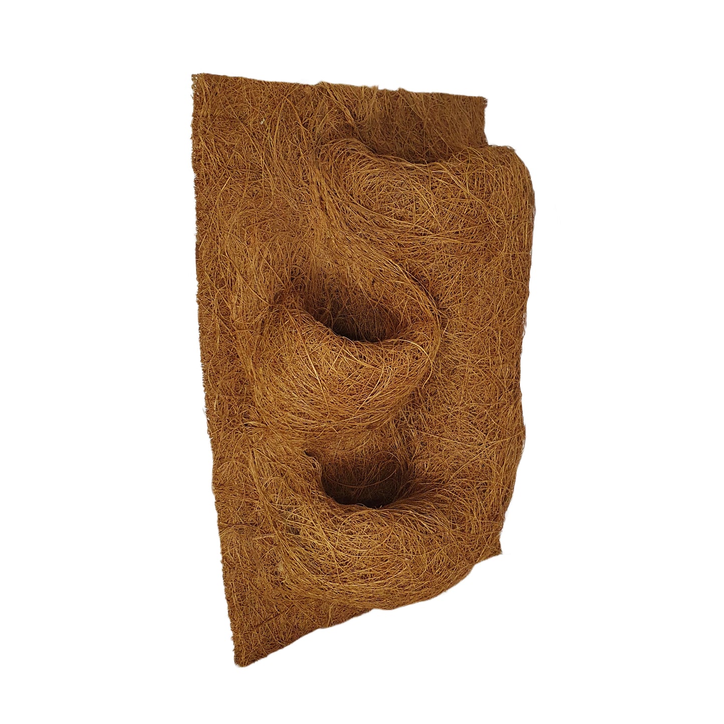 Pozadí pro výsadbu přírodního kokosu Bivenro (20 cm x 30 cm)