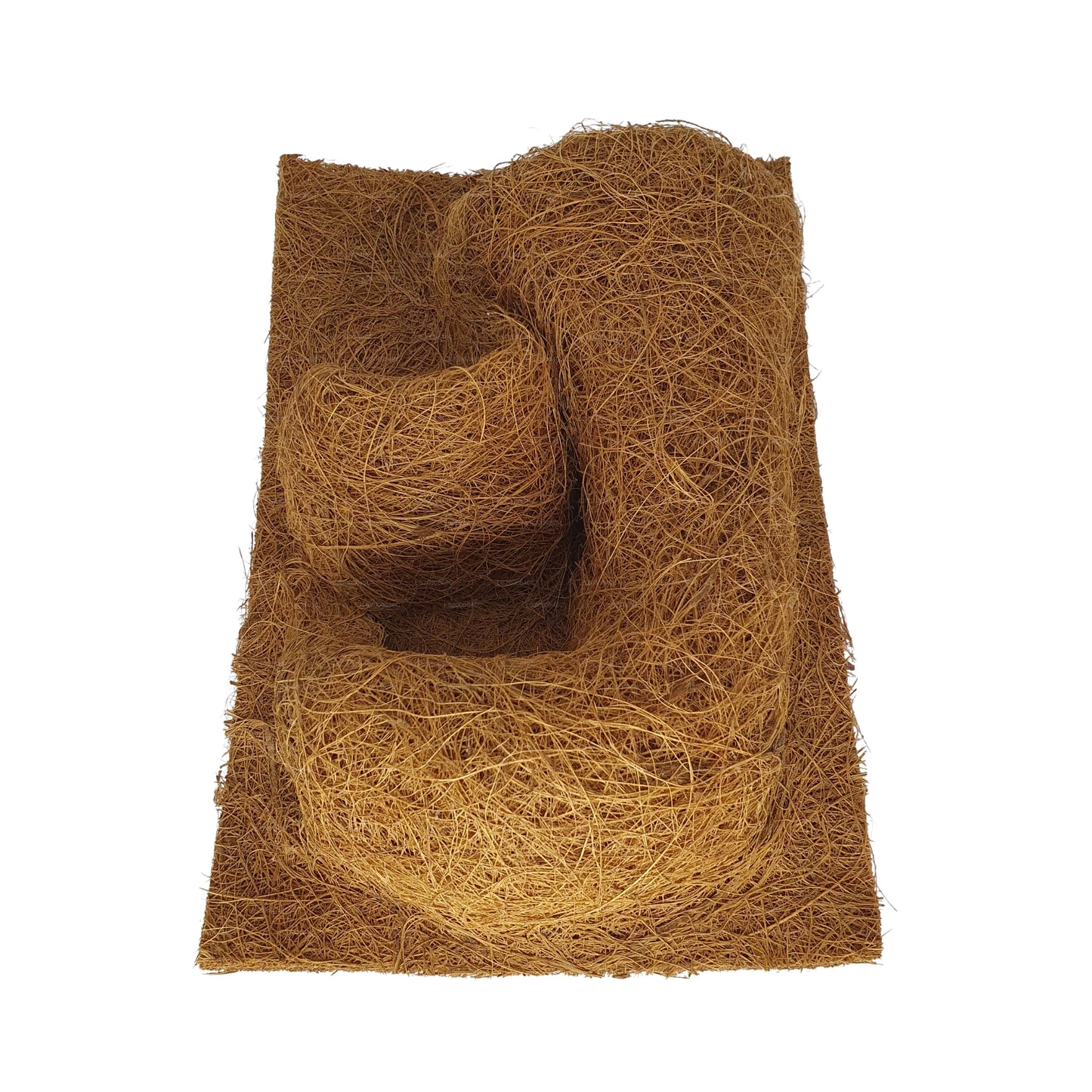 Pozadí pro výsadbu přírodního kokosu Bivenro (20 cm x 30 cm)