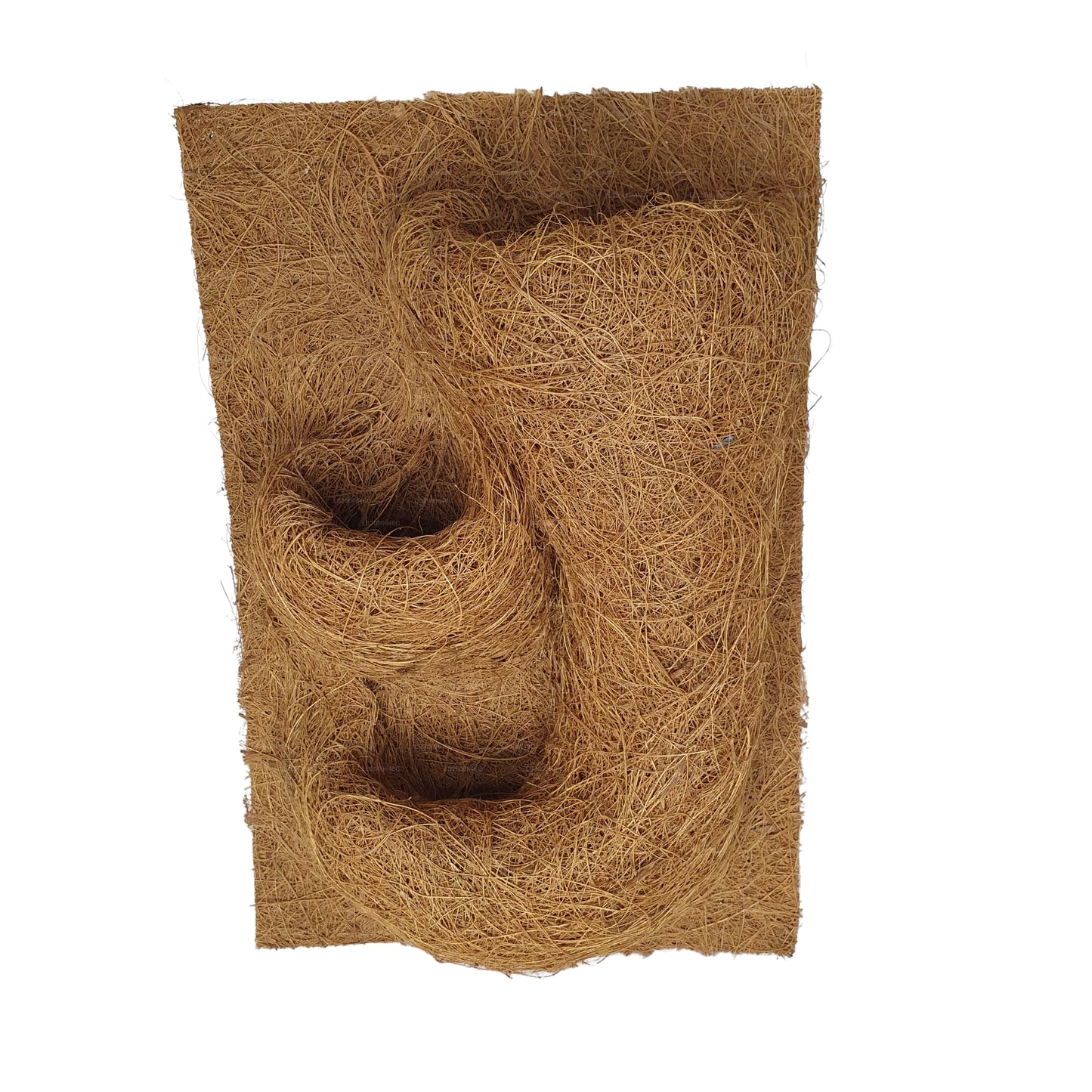 Pozadí pro výsadbu přírodního kokosu Bivenro (20 cm x 30 cm)