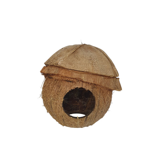 Bivenro Natural Coconut Bird Nest With Husk Cap Design (Free Size)