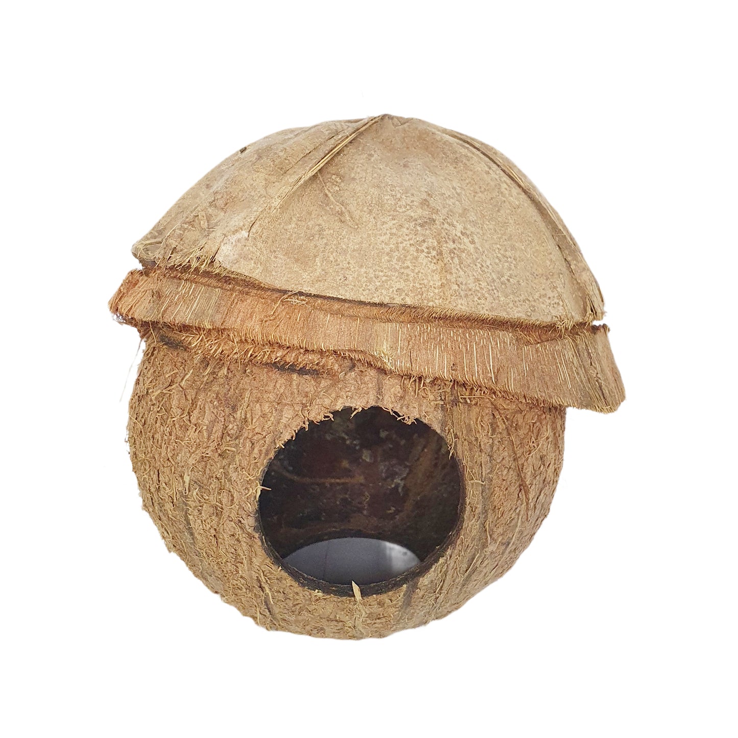 Bivenro Natural Coconut Bird Nest With Husk Cap Design (Free Size)