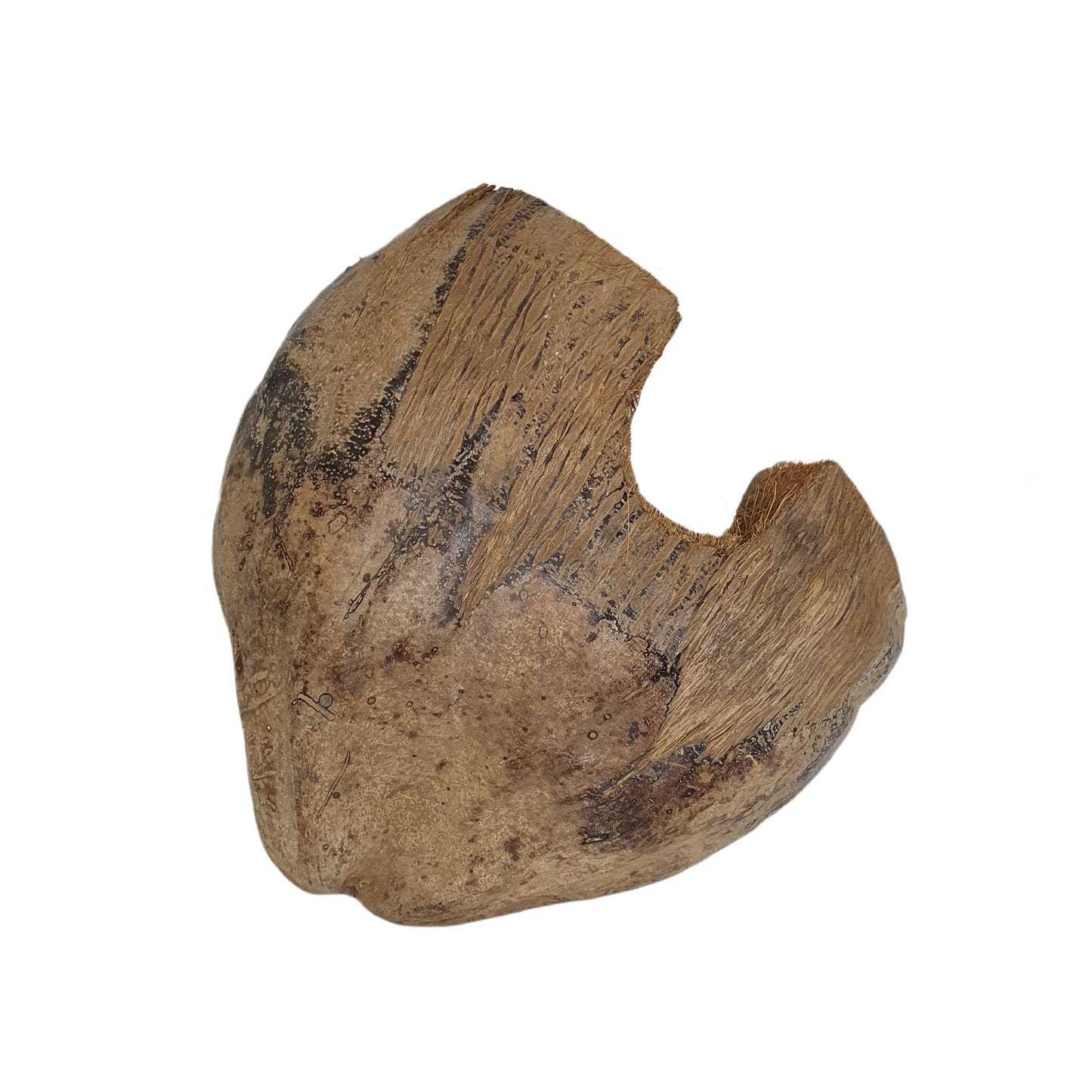 Bivenro Natural 3/4 Cocoa Hideout s designem slupky (volná velikost)