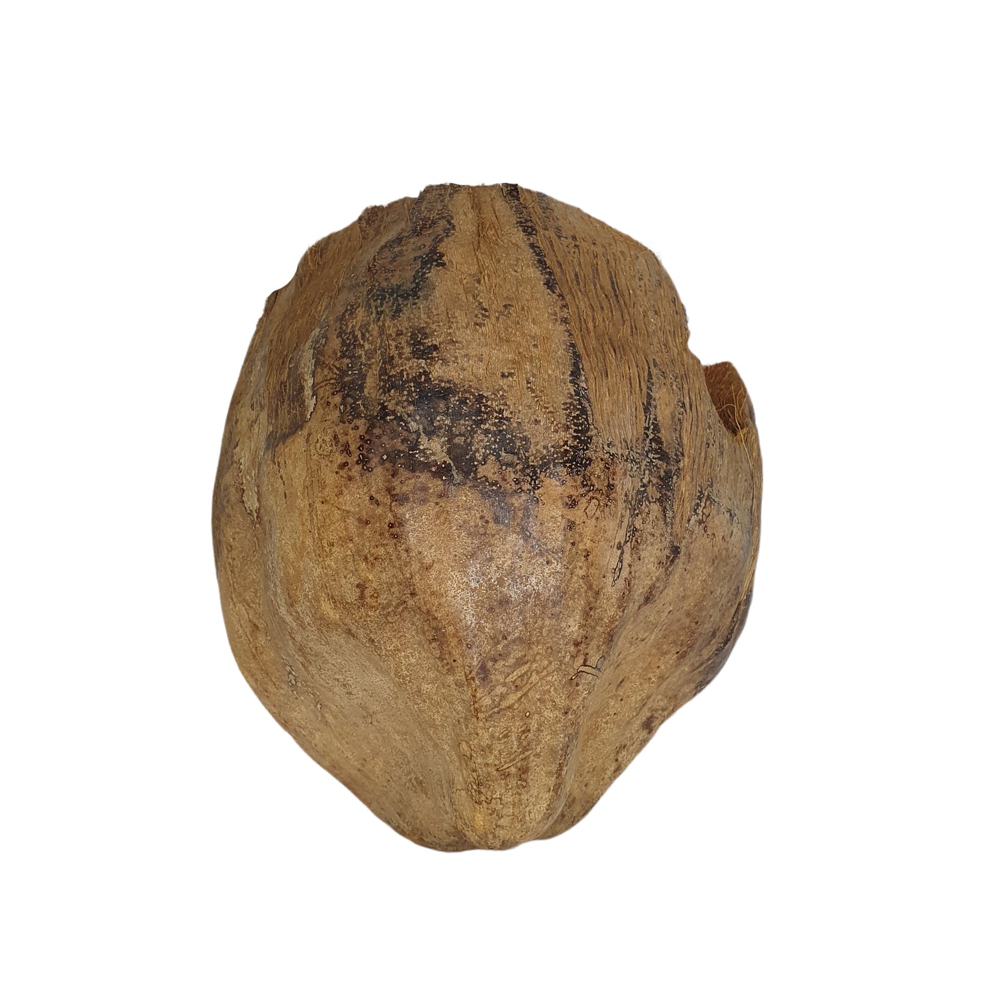 Bivenro Natural 3/4 Cocoa Hideout s designem slupky (volná velikost)