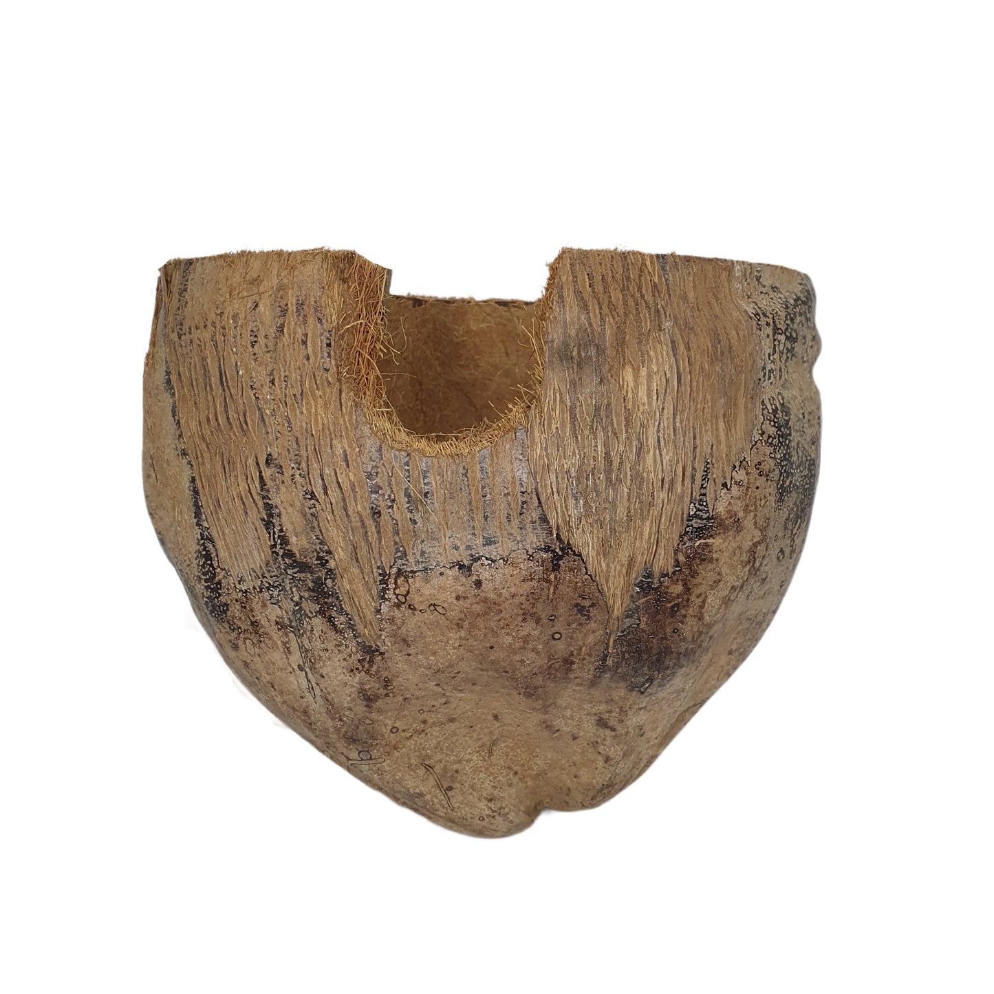 Bivenro Natural 3/4 Cocoa Hideout s designem slupky (volná velikost)