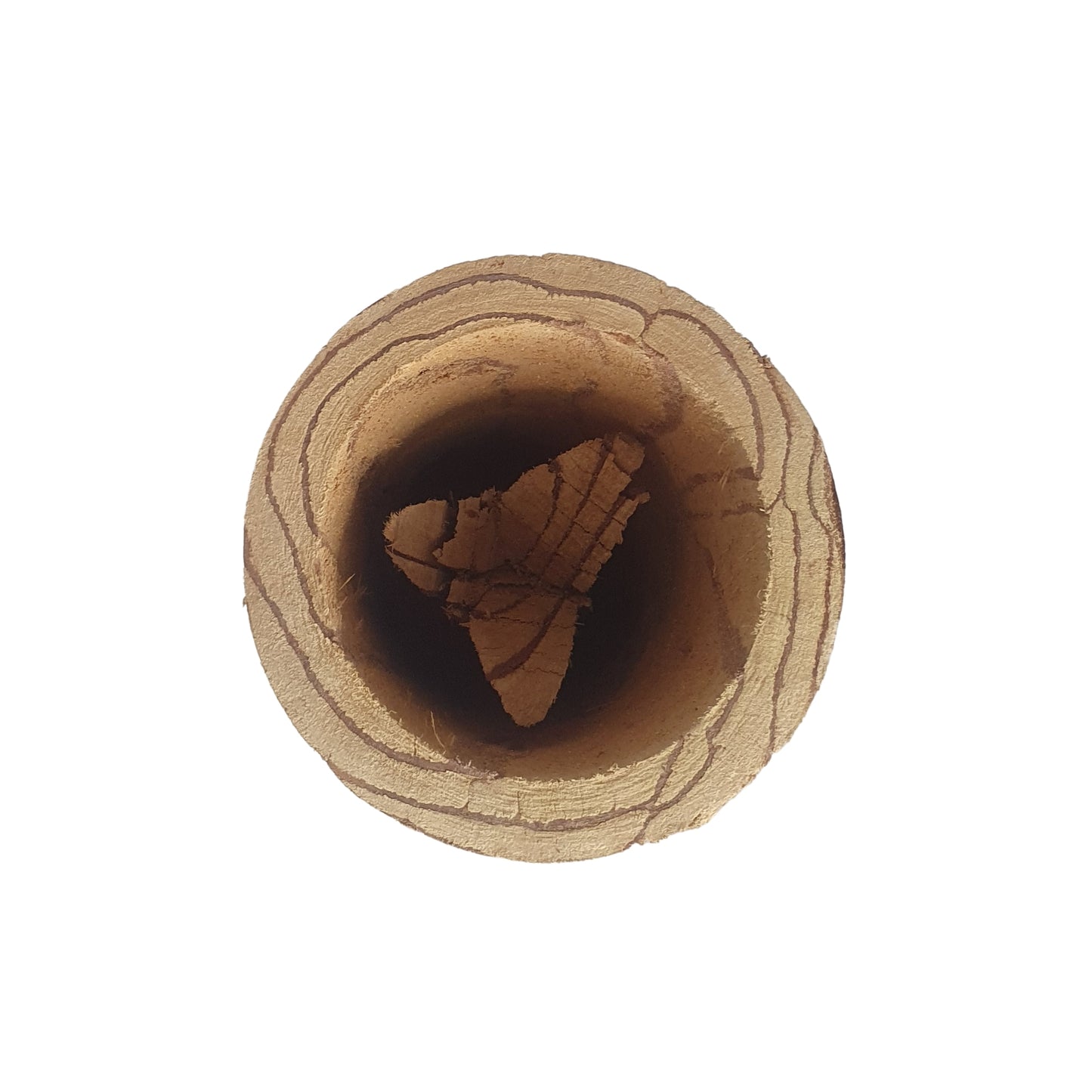 Hrnek Lakpura® Kothala Himbutu (Salacia reticulata)
