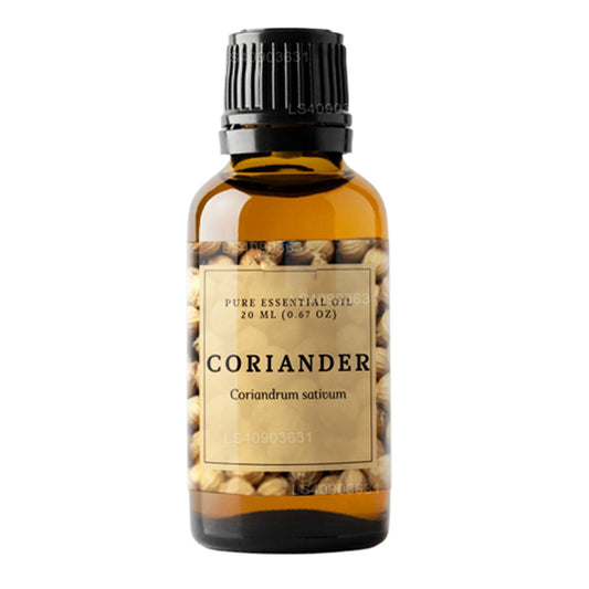 Lakpura Coriander Essential Oil (15ml)