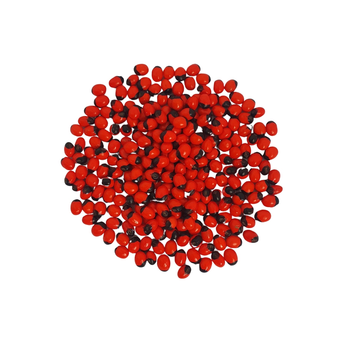 Semena Lakpura® Olinda (marocký Abrus)