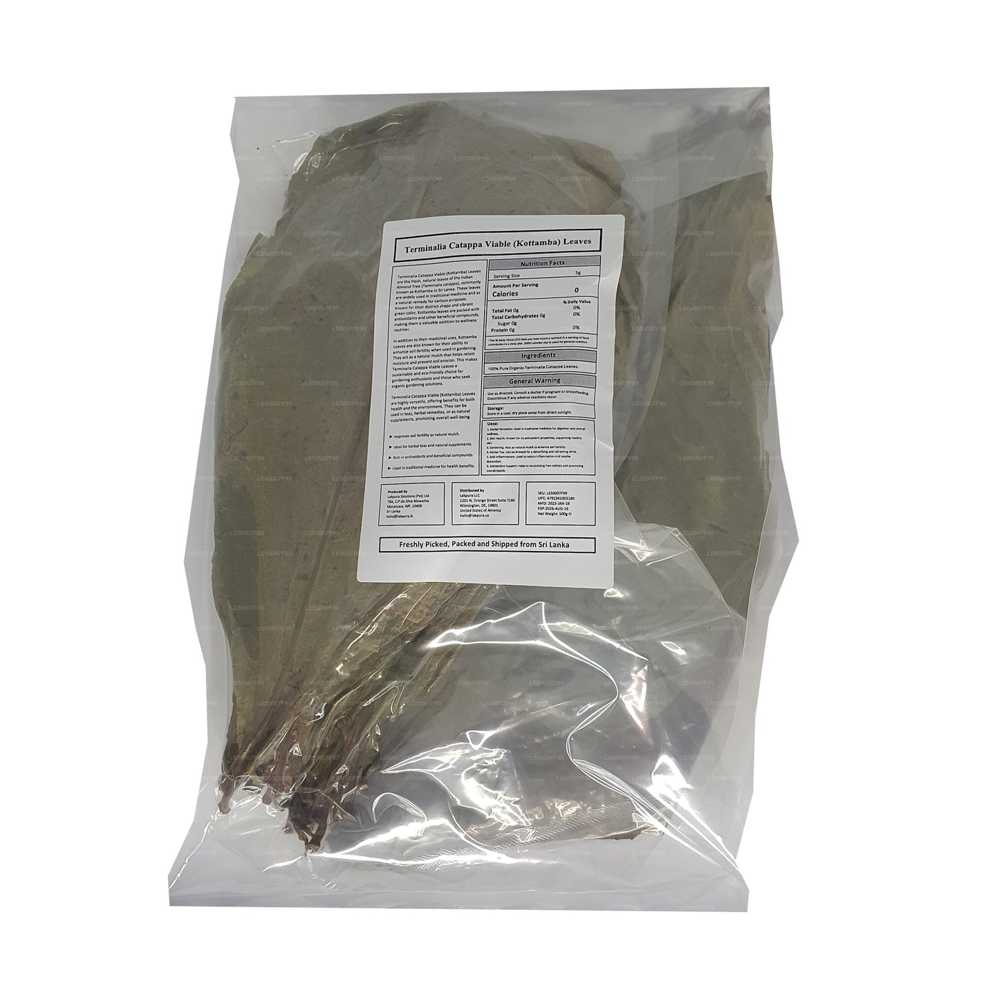 Lakpura® Wildcrafted Dehydrated Terminalia Catappa Leaves (Kottamba, Indian Almond) Pack