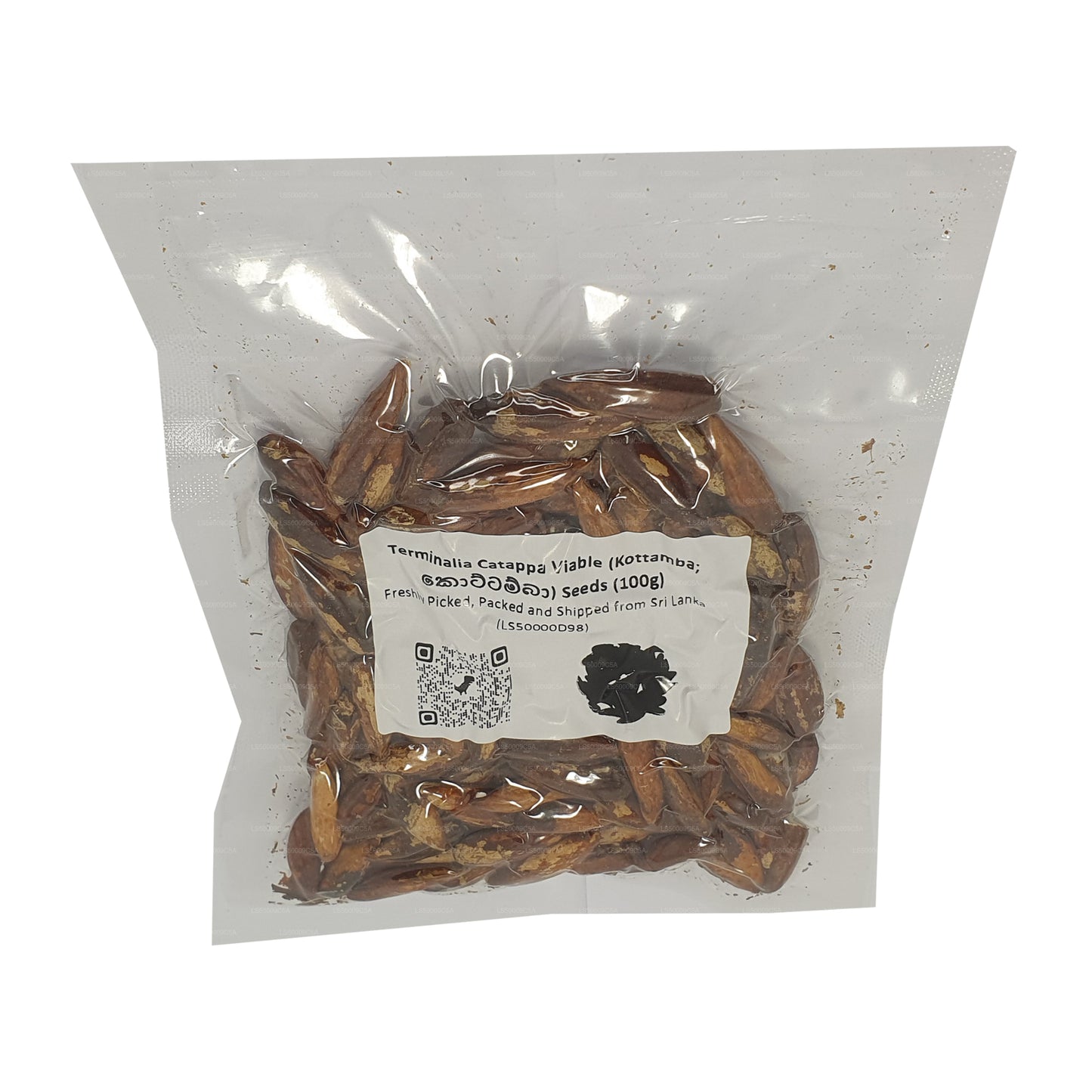 Semena Lakpura® Terminalia Catappa Viable (Kottamba)