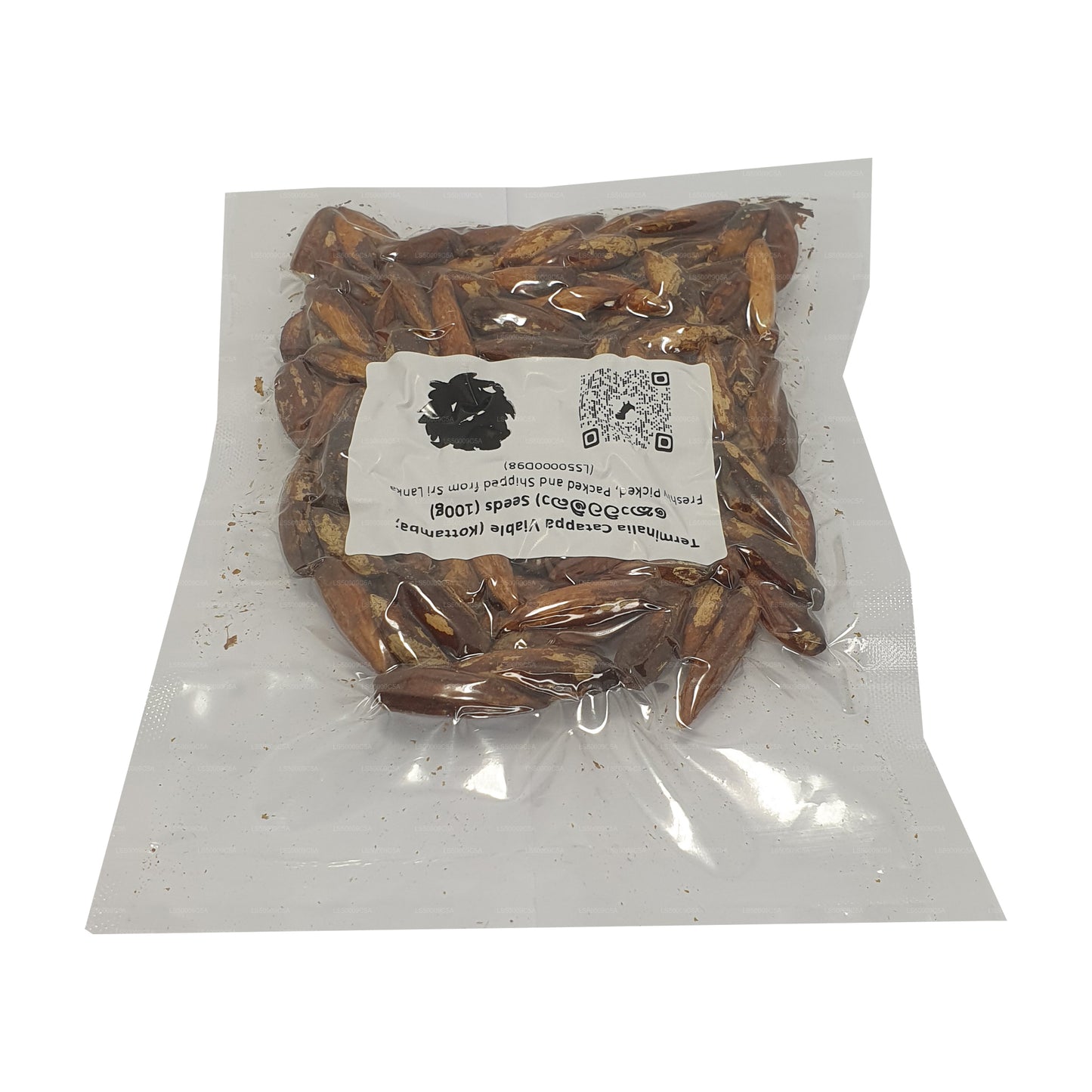 Semena Lakpura® Terminalia Catappa Viable (Kottamba)