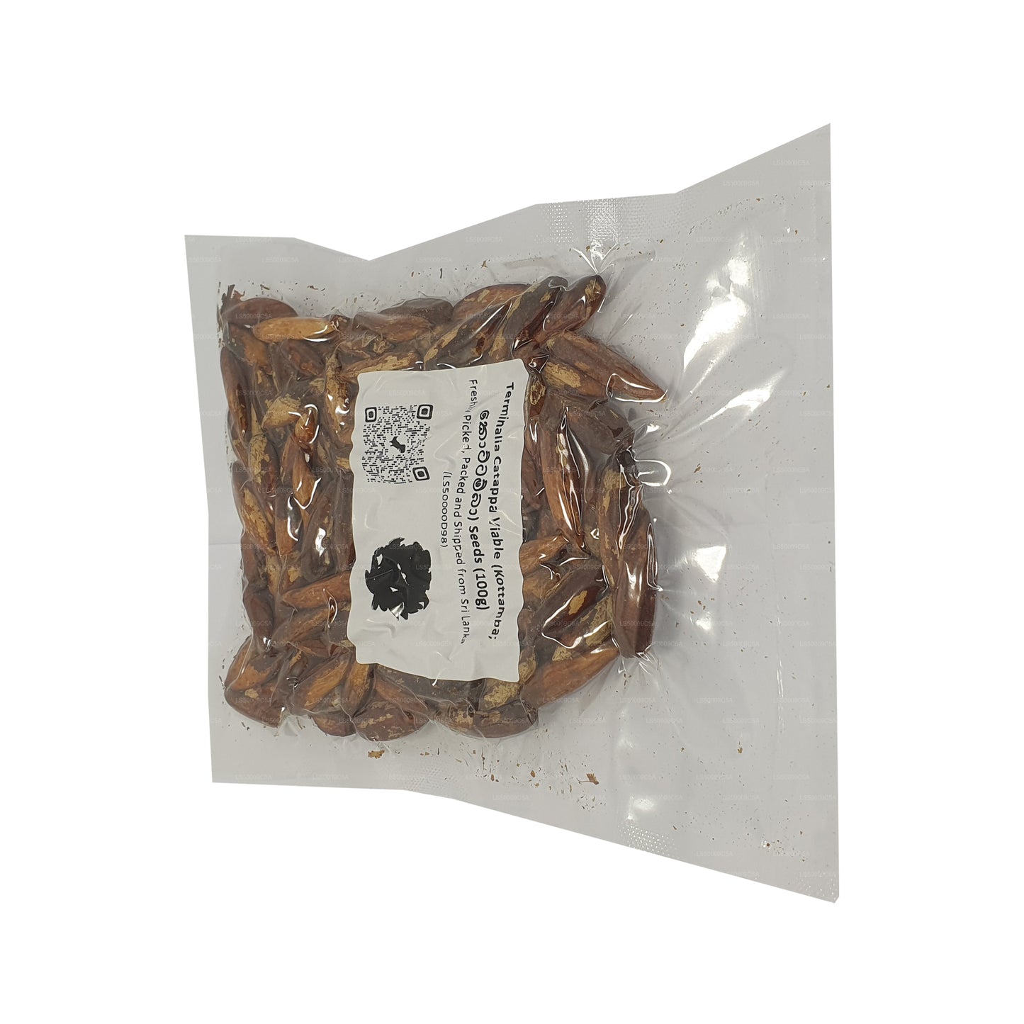 Semena Lakpura® Terminalia Catappa Viable (Kottamba)