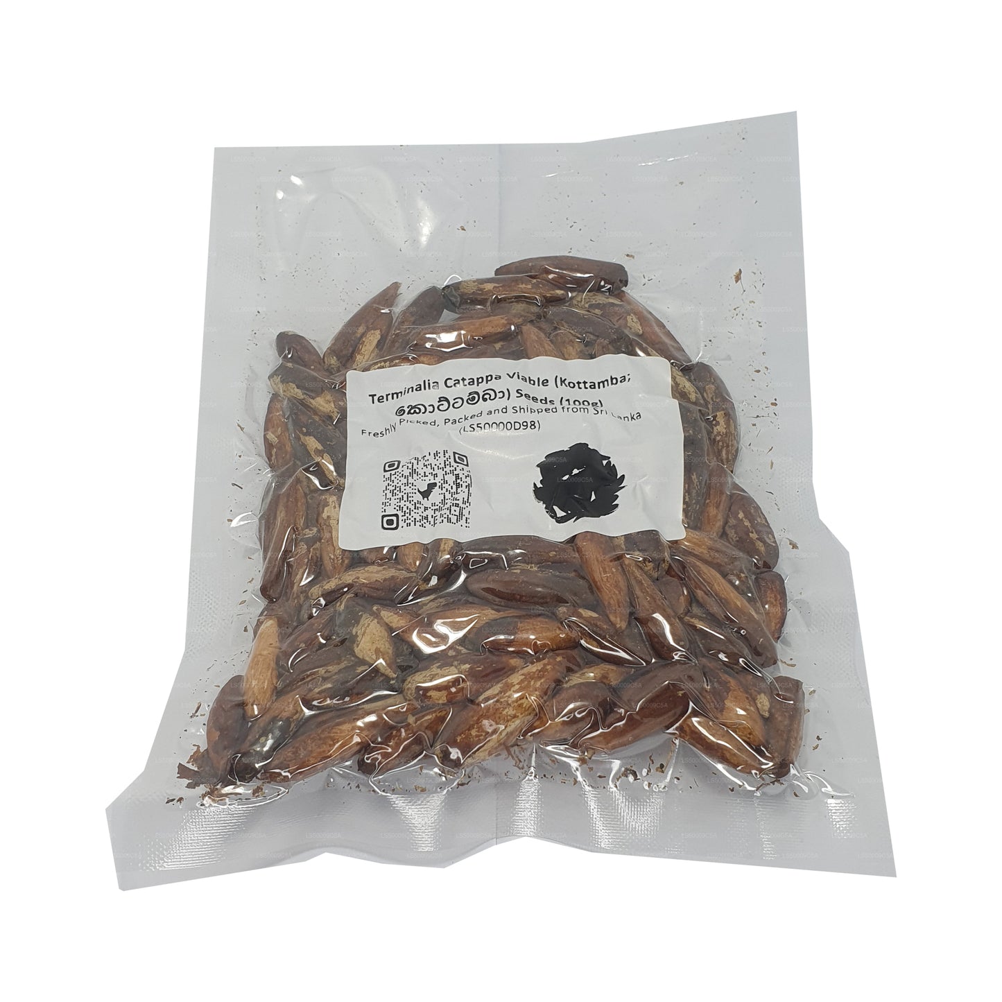 Semena Lakpura® Terminalia Catappa Viable (Kottamba)