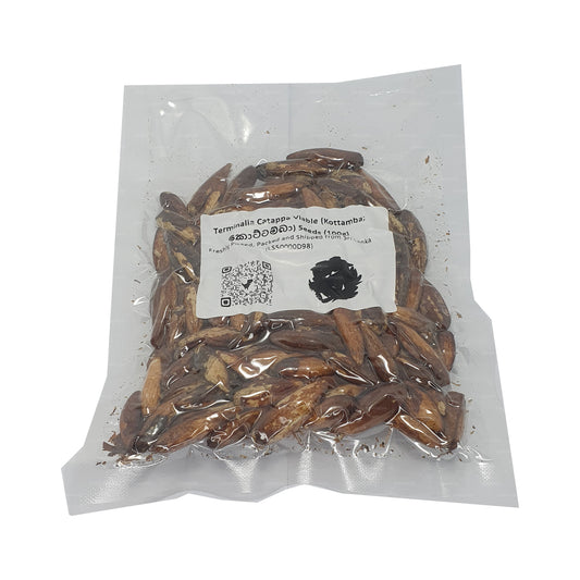 Semena Lakpura® Terminalia Catappa Viable (Kottamba)