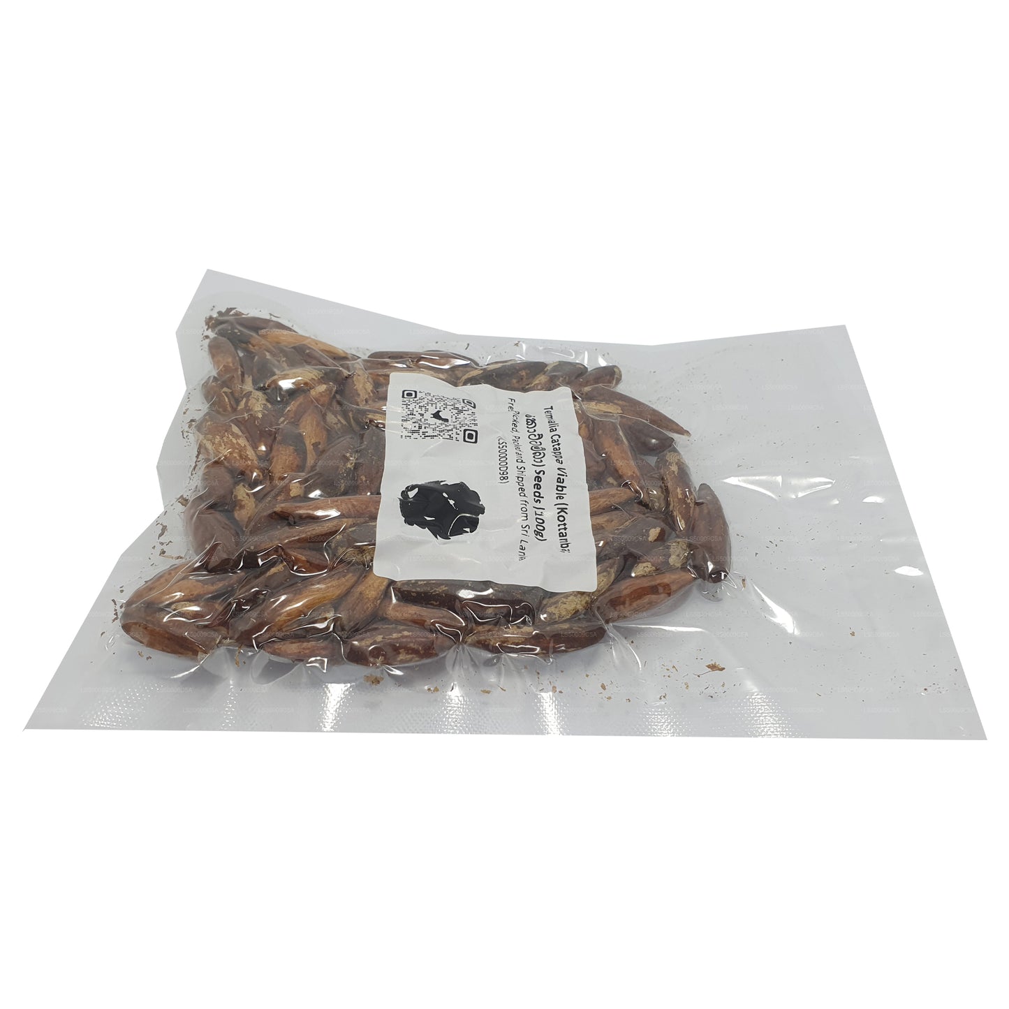 Semena Lakpura® Terminalia Catappa Viable (Kottamba)