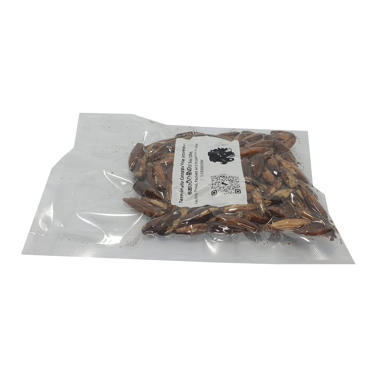 Semena Lakpura® Terminalia Catappa Viable (Kottamba)