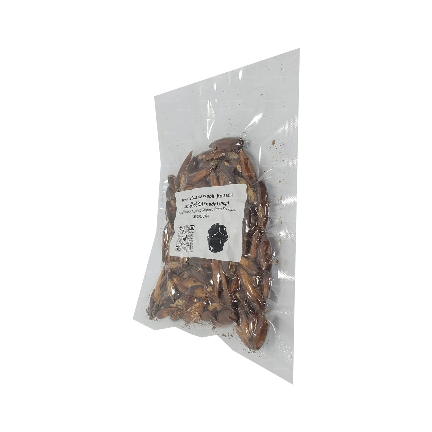 Semena Lakpura® Terminalia Catappa Viable (Kottamba)