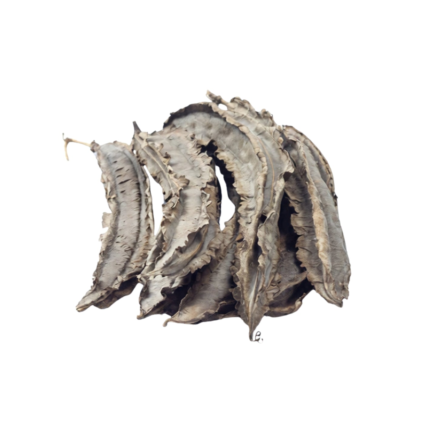 Lakpura® Křídlaté Fazole