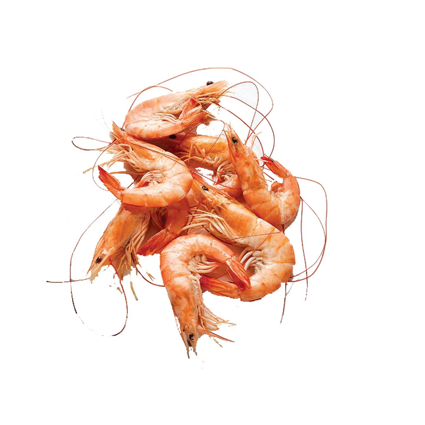 Lakpura Dried Prawns (200g)