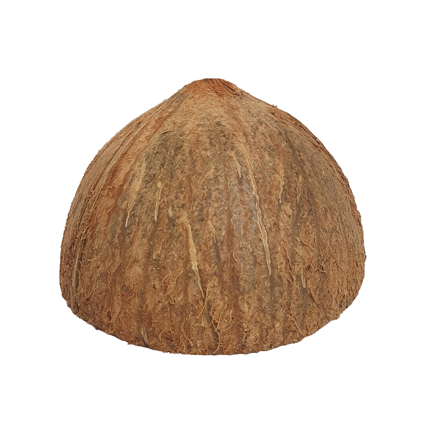 Půlky kokosových skořápek Lakpura®