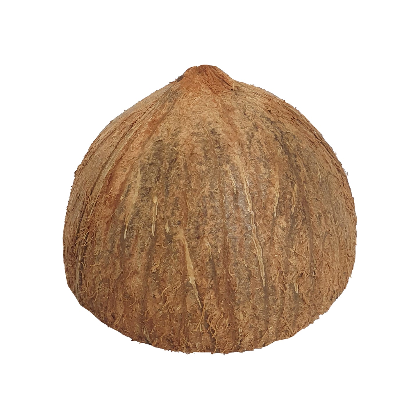 Půlky kokosových skořápek Lakpura®