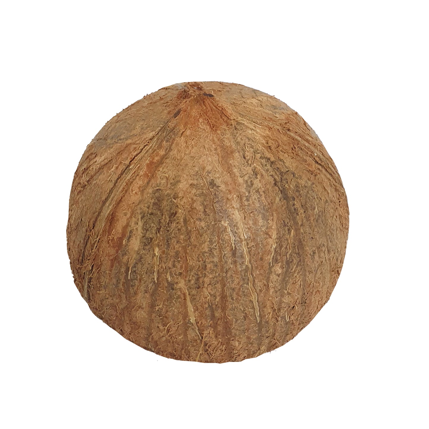 Půlky kokosových skořápek Lakpura®