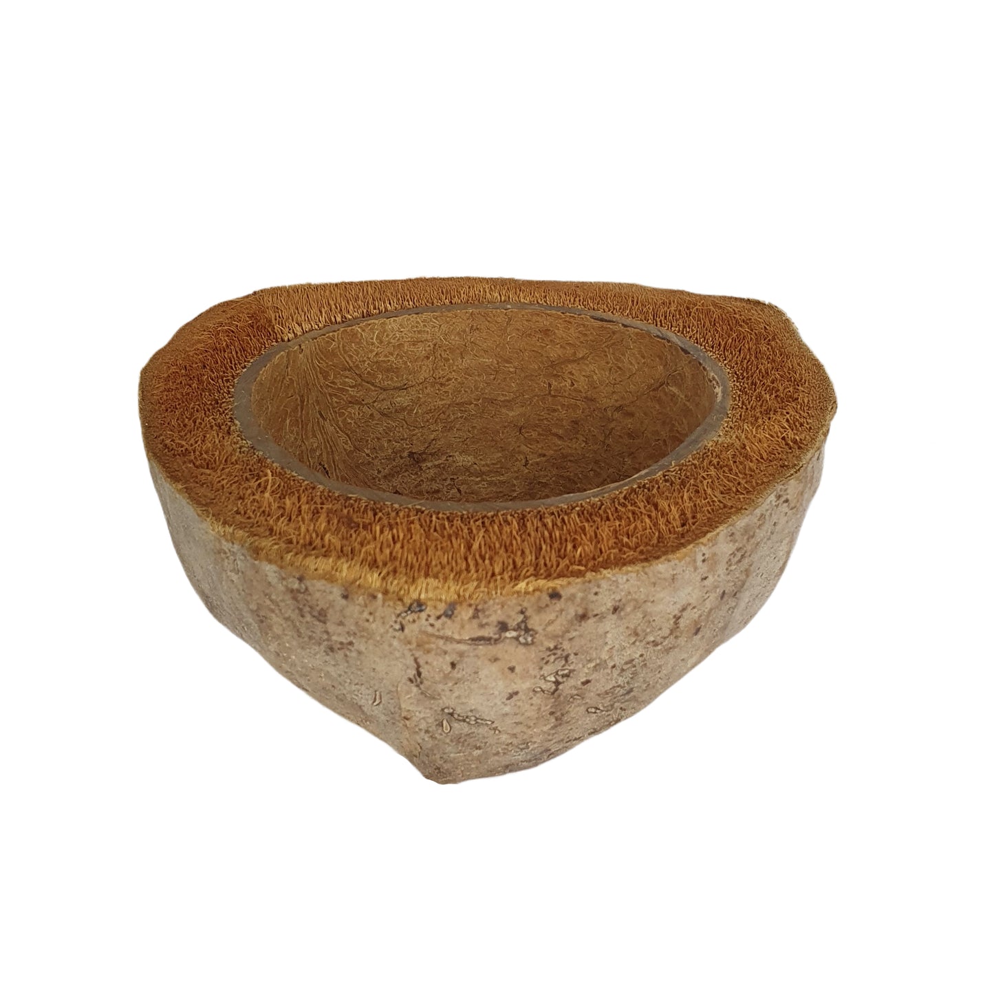 Design květináče Bivenro Natural Coconut (volná velikost)