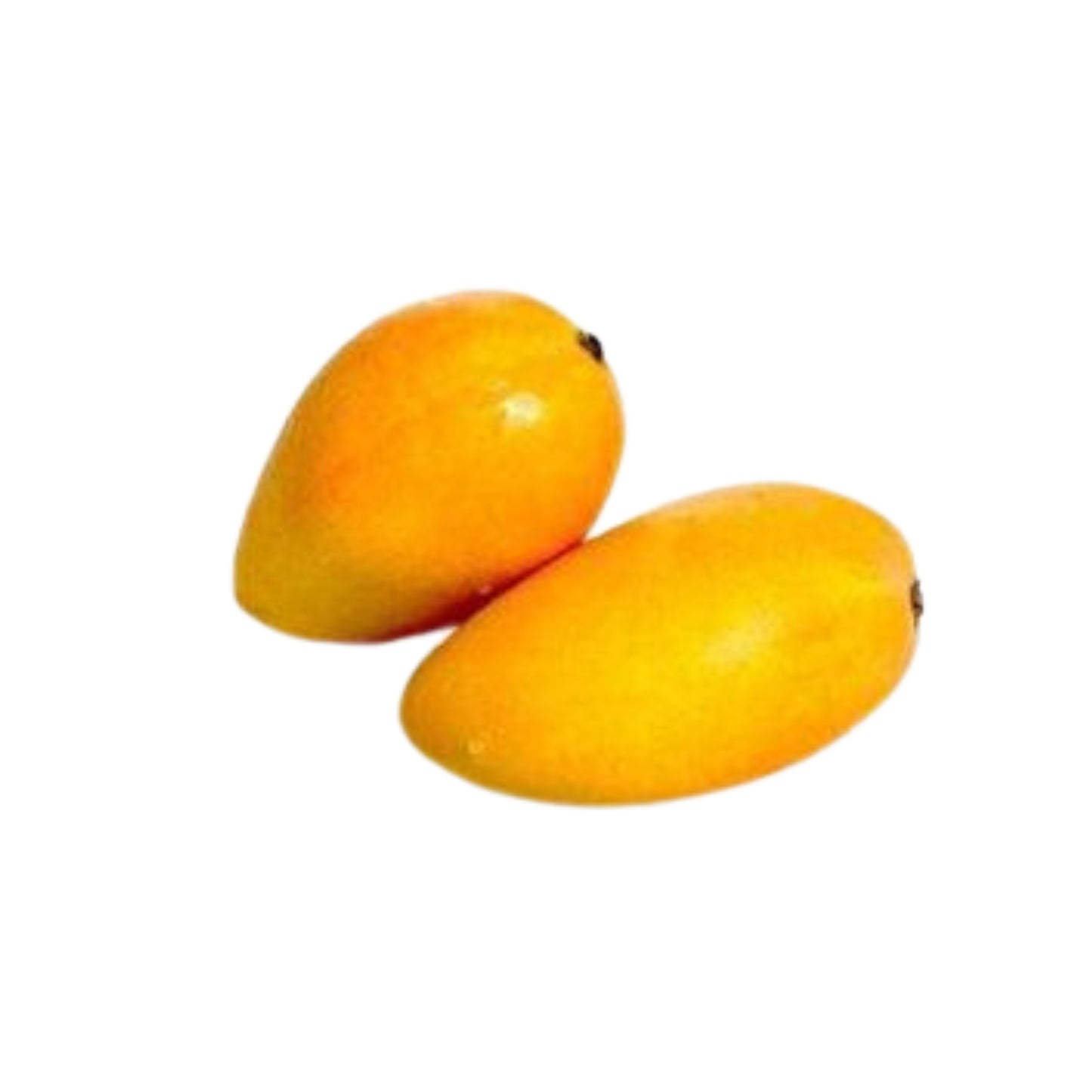 Lakpura® Alponsu Mango roubovaná rostlina