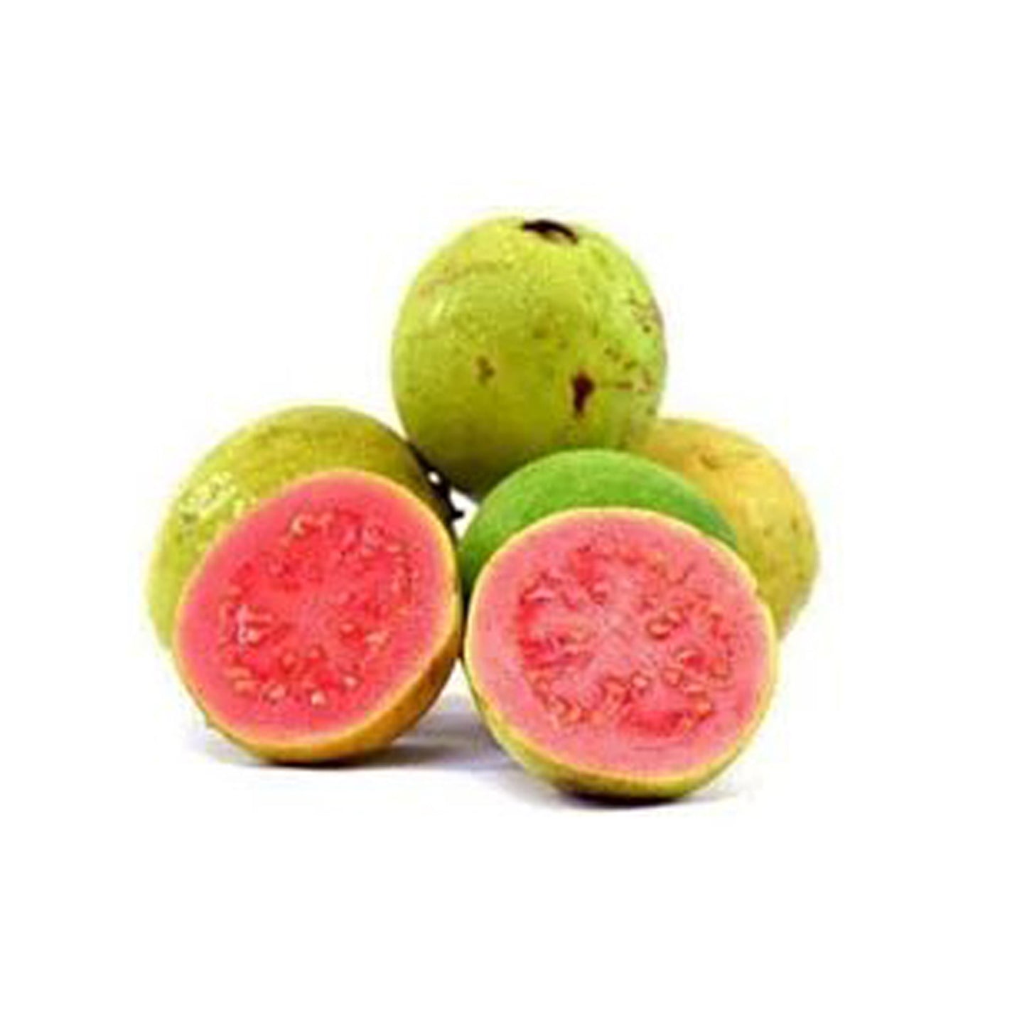 Lakpura Red Apple Guava Plant