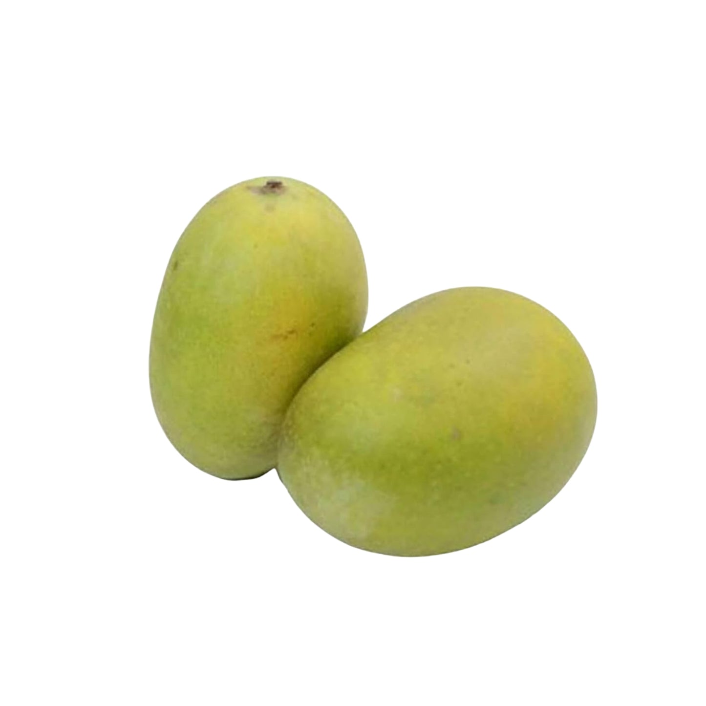 Lakpura® Dampara Mango roubovaná rostlina