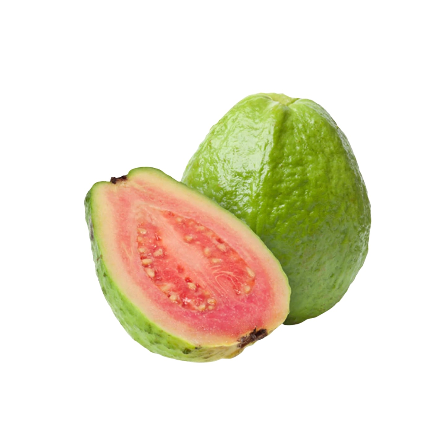 Ovocná rostlina Lakpura Ceylon Red Guava