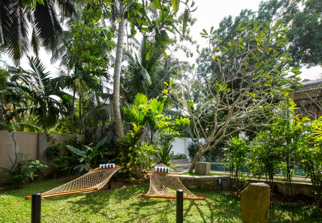 Bilin Tree House, Galle