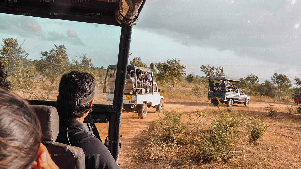 Udawalawe a Galle z Colomba (2 dny)