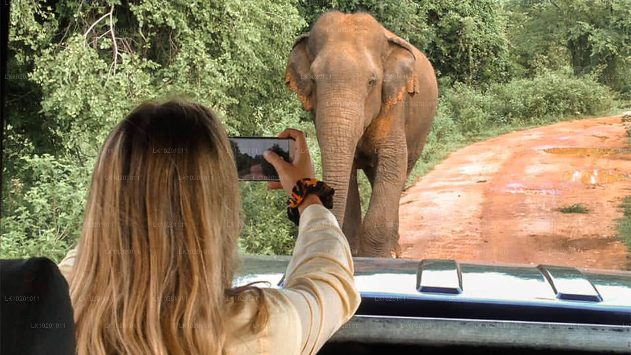 Udawalawe a Galle z Colomba (2 dny)