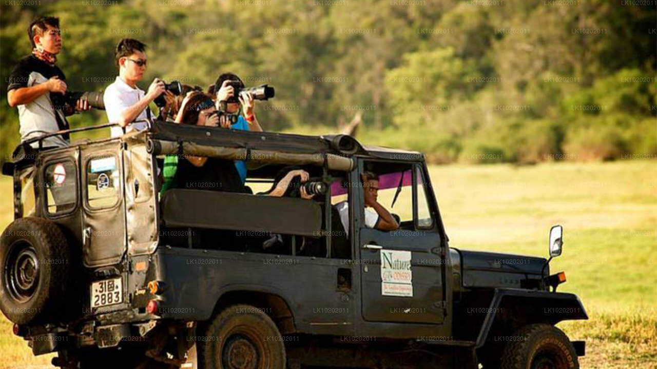 Sigiriya a Minneriya z Colomba (2 dny)
