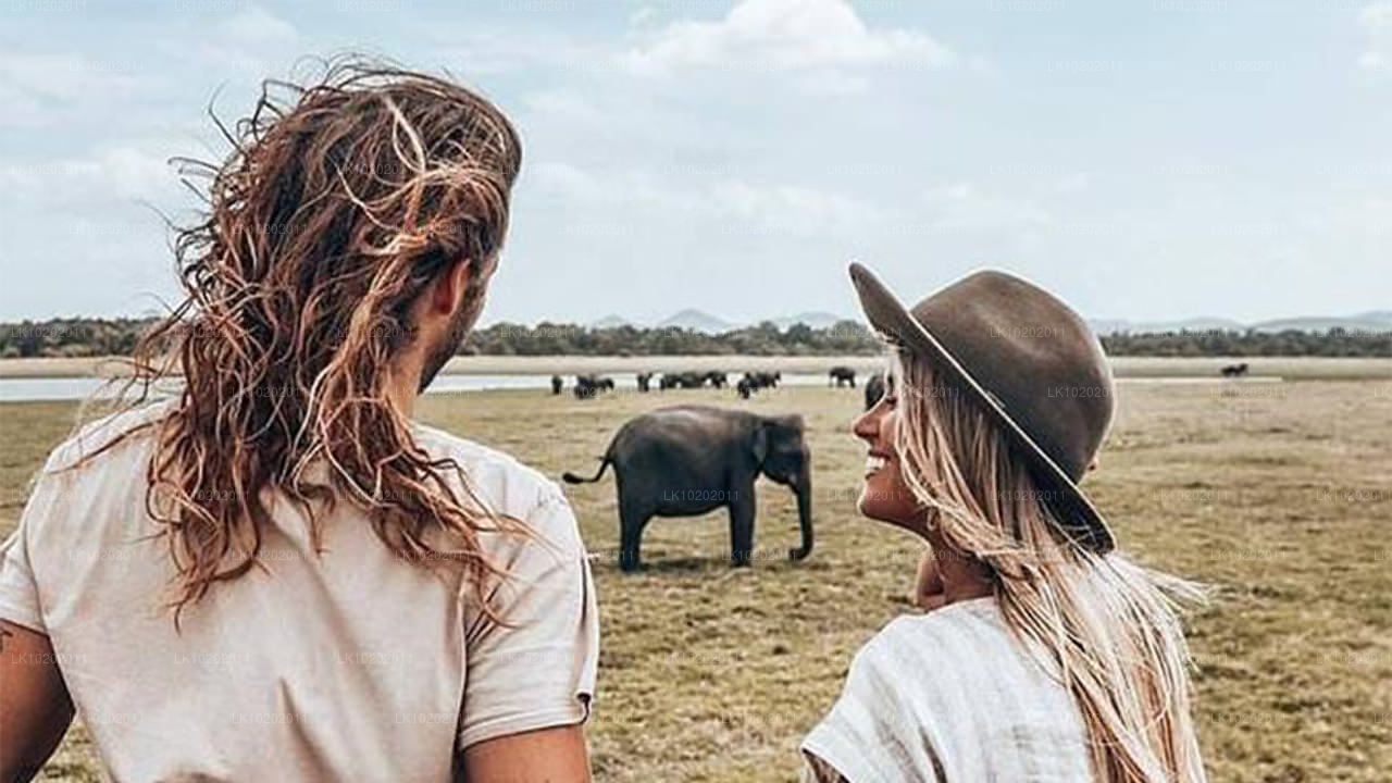Sigiriya a Minneriya z Colomba (2 dny)