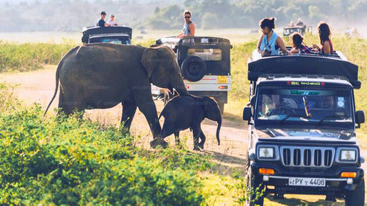 Sigiriya a Minneriya z Colomba (2 dny)