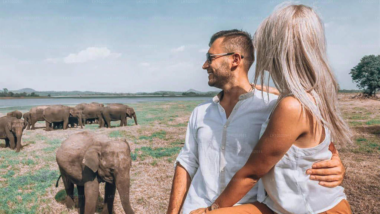 Sigiriya a Minneriya z Colomba (2 dny)