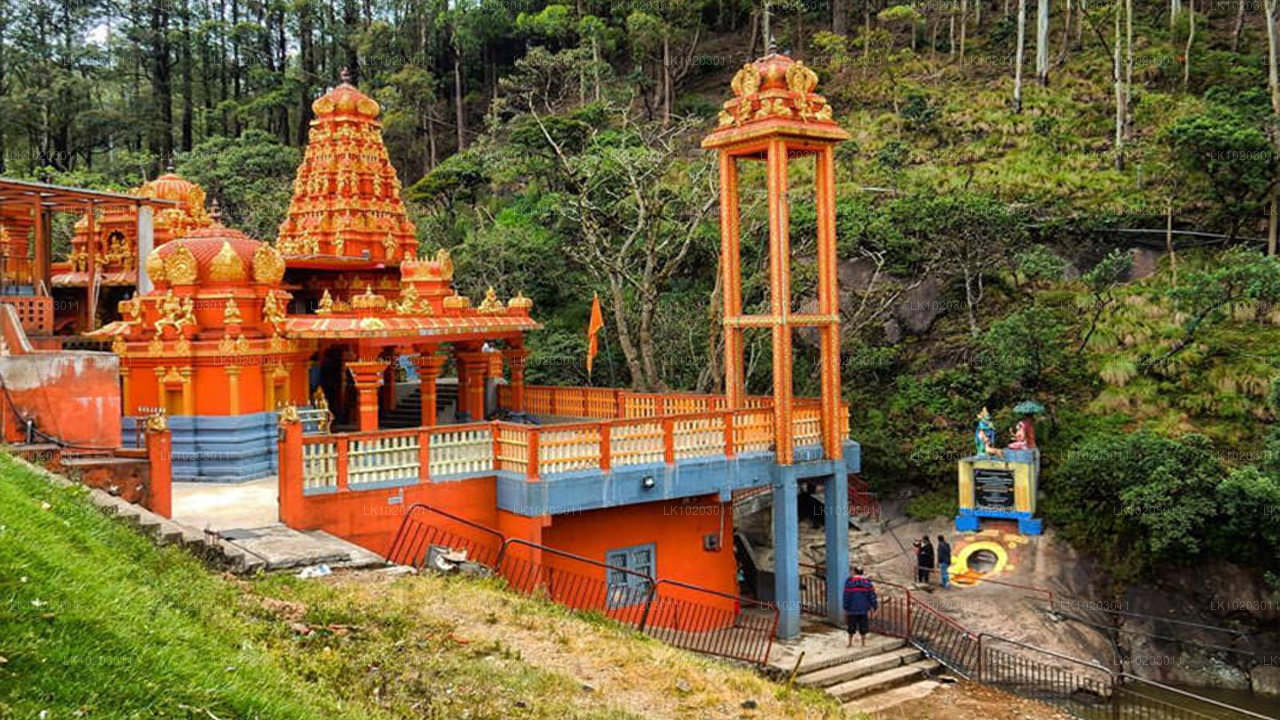 Nuwara Eliya z Colomba (2 dny)