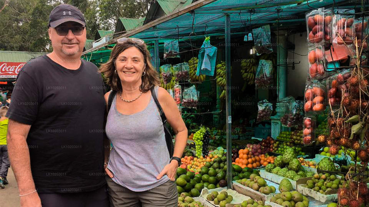 Nuwara Eliya z Colomba (2 dny)