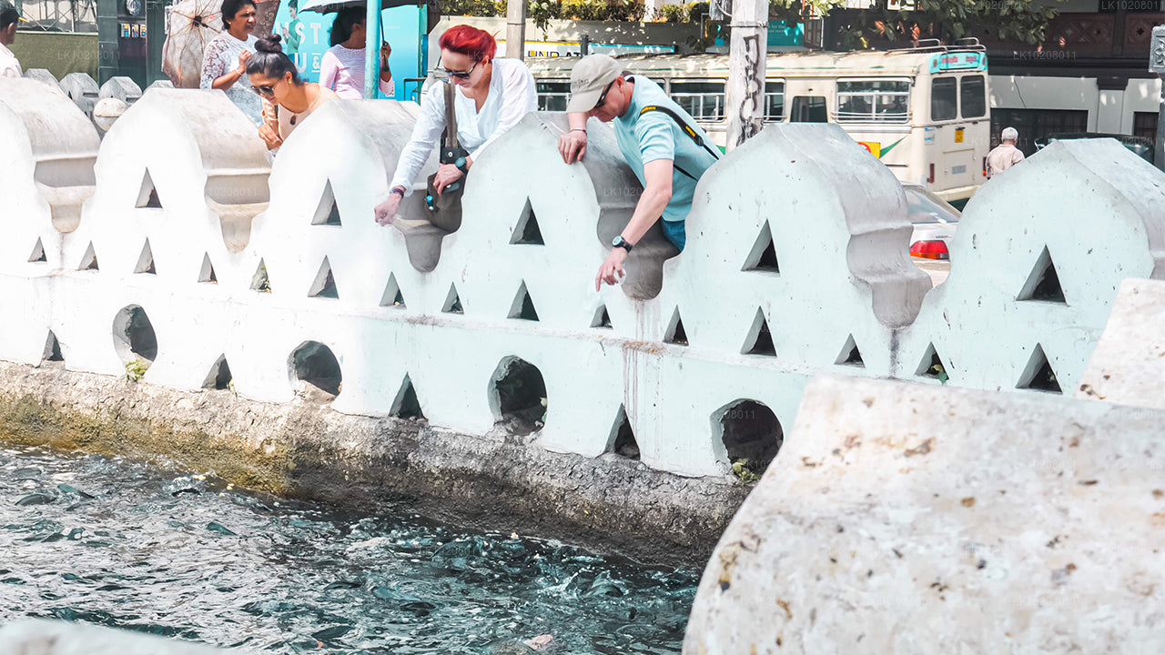 Kultura kopců z Colomba (2 dny)