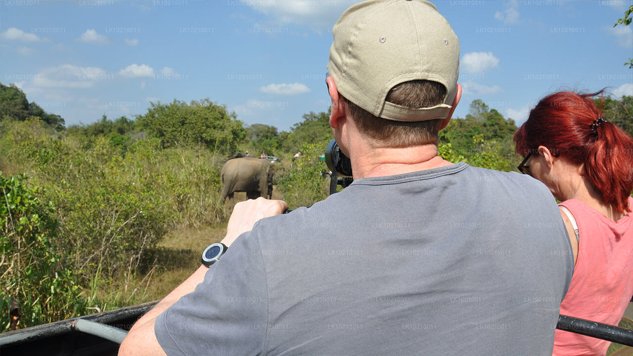 Prohlídka divoké zvěře a světového dědictví z Galle (2 dny)